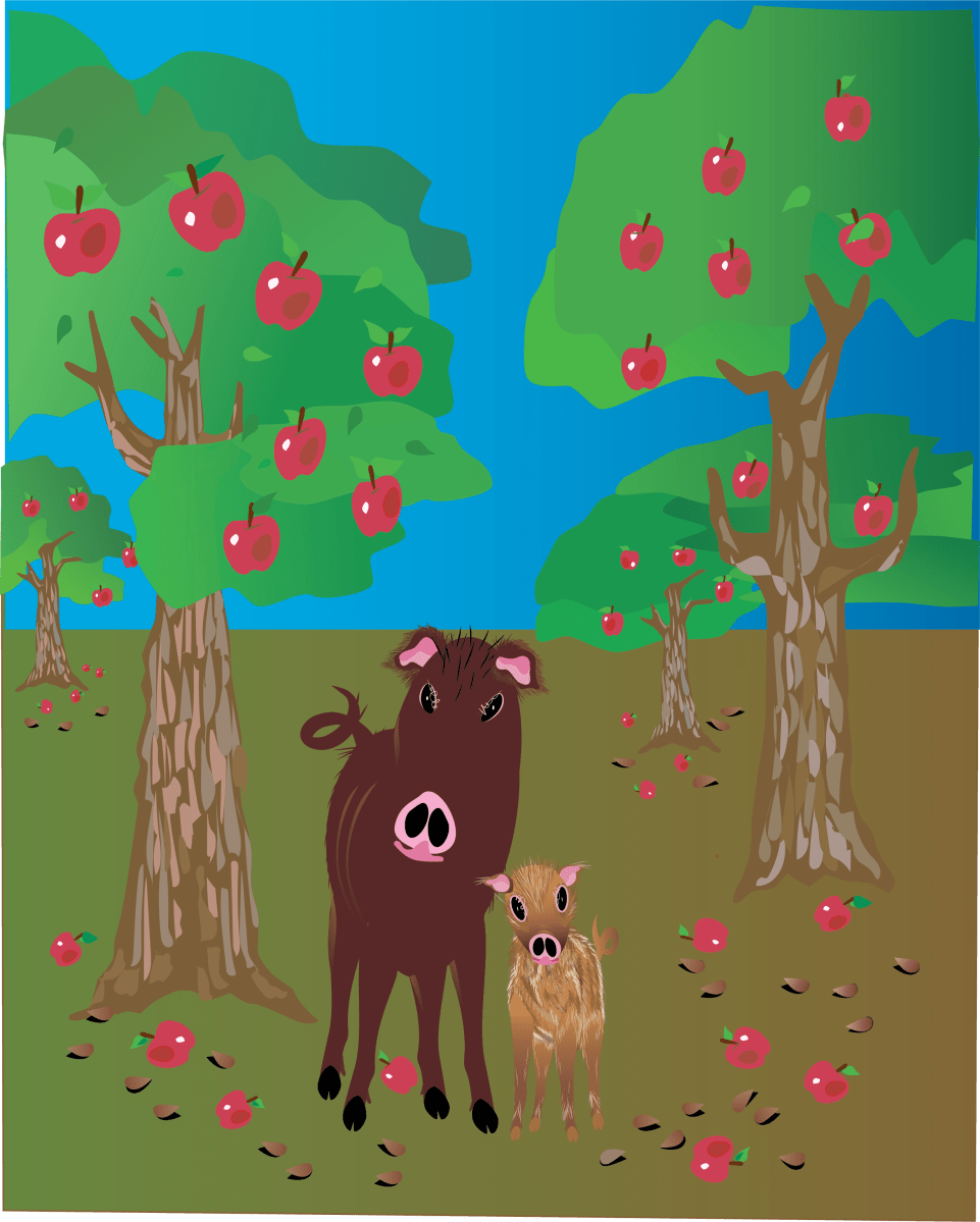 Big Pig, Little Pig: Making of a series and an Artist (June 2020 ...